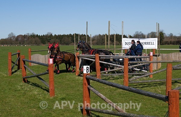 _DSC8864 - Ashfields Carriage & Polo Club