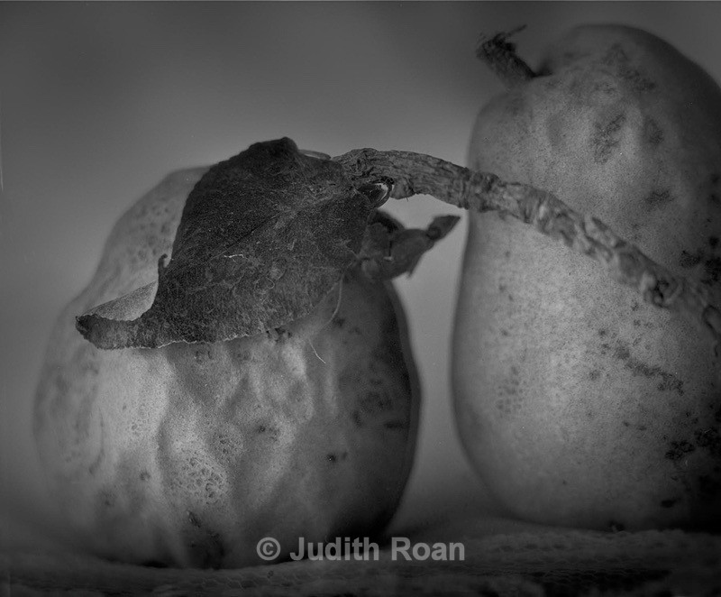 Pears - Palladium Prints by Ron Reeder