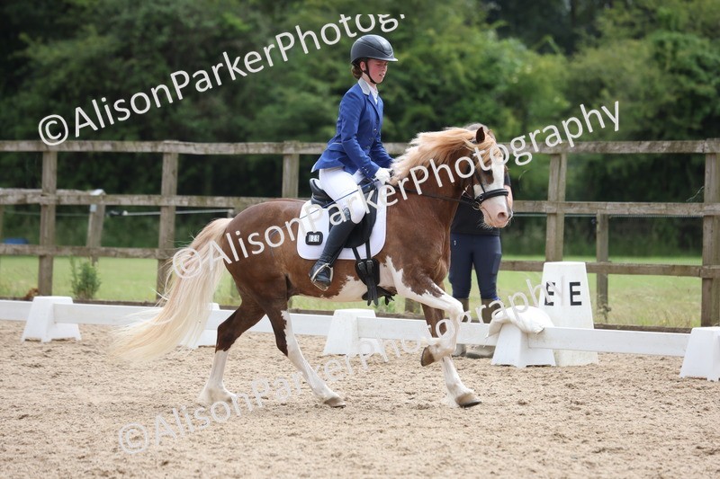 20250614-1506 - Class 7 - Elementary 2