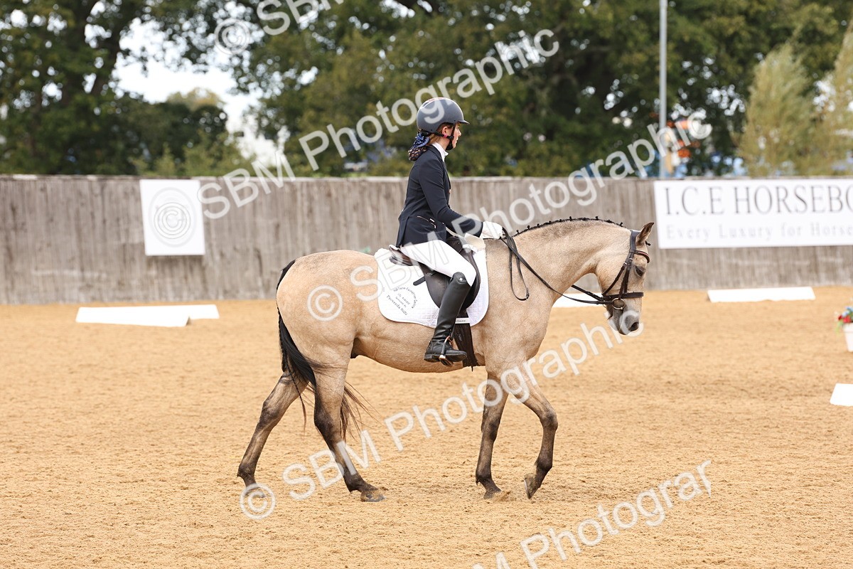 SBM_20338 - D10 - Small Tour Championship Prelim 2