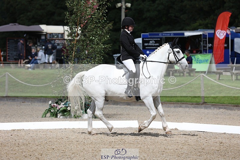 230812-113348-03797 - Cls 5 Novice Bronze 11.15 to 12.50 break