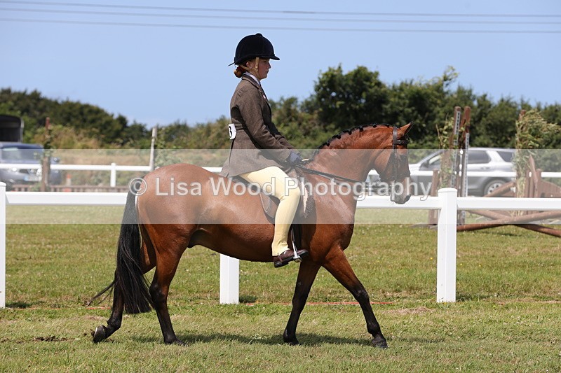 1X9A4263 - Class 34: Veteran Ridden