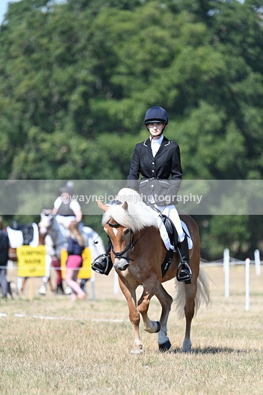 WJ7_0328 - Time 11:33 to 11:44