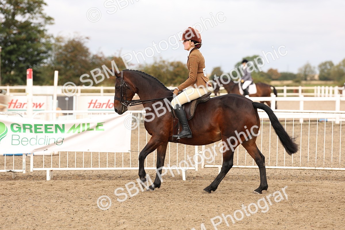 SBM_01559 - Class 52 - Ridden Veteran