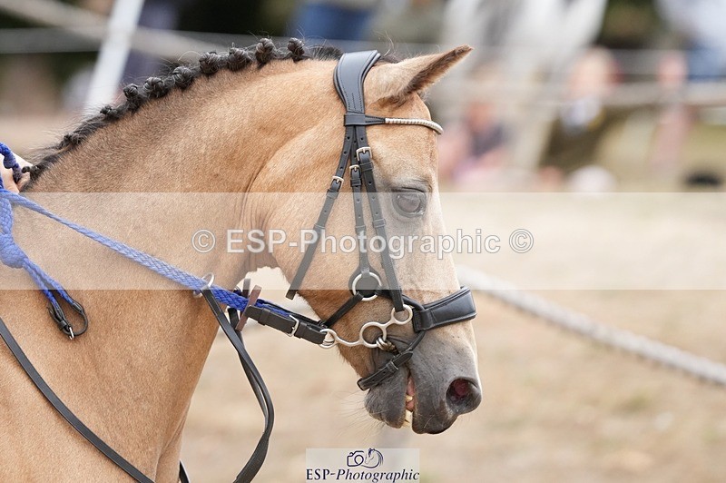 250820A-114010-04338 - Round 2, 10.45 to 11.45 Break