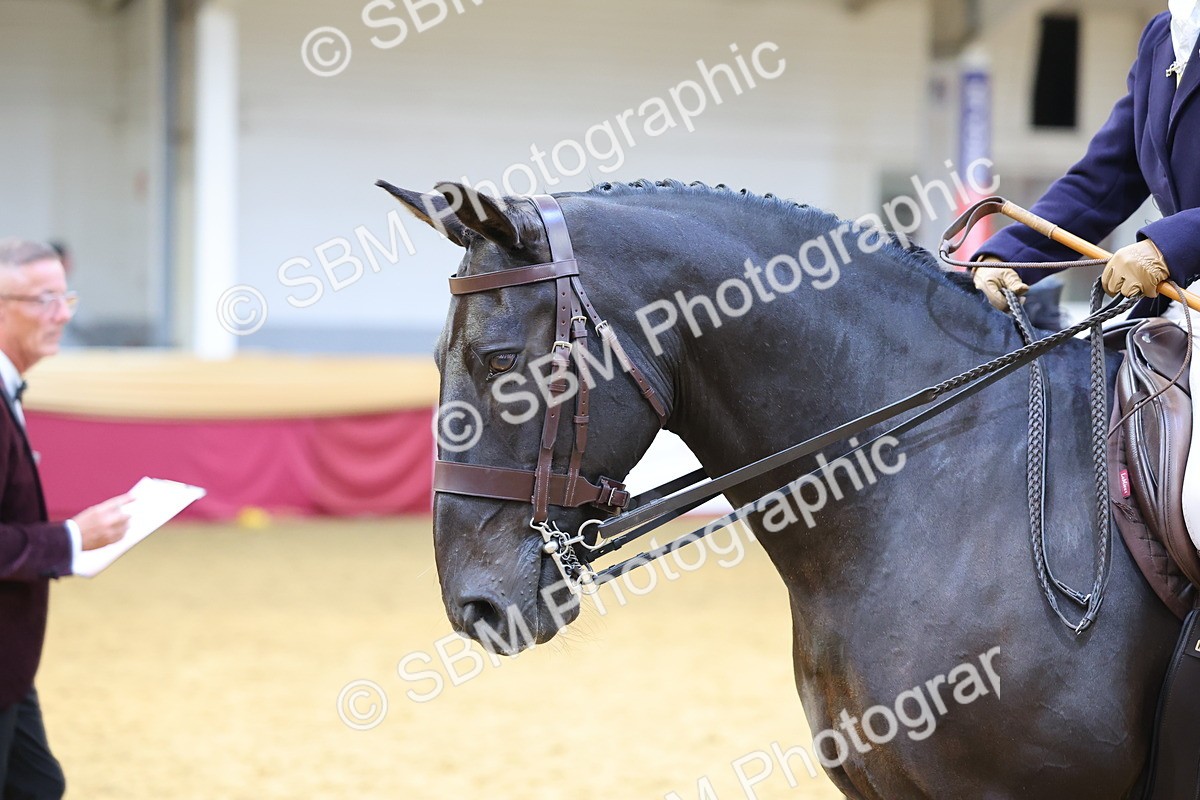 SBM_24151 - Class 905 - Supreme Final - Ridden Veteran