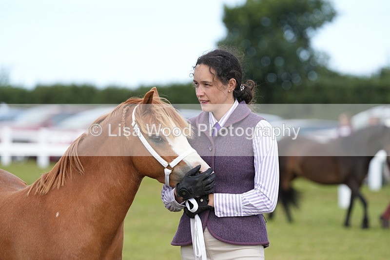 DSC05542 - Class 50: NPS M&M 4 years and over Small Breeds