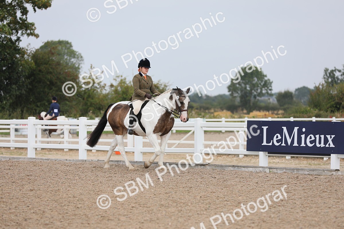 SBM_12665 - Class 307 Ridden Coloured Pony