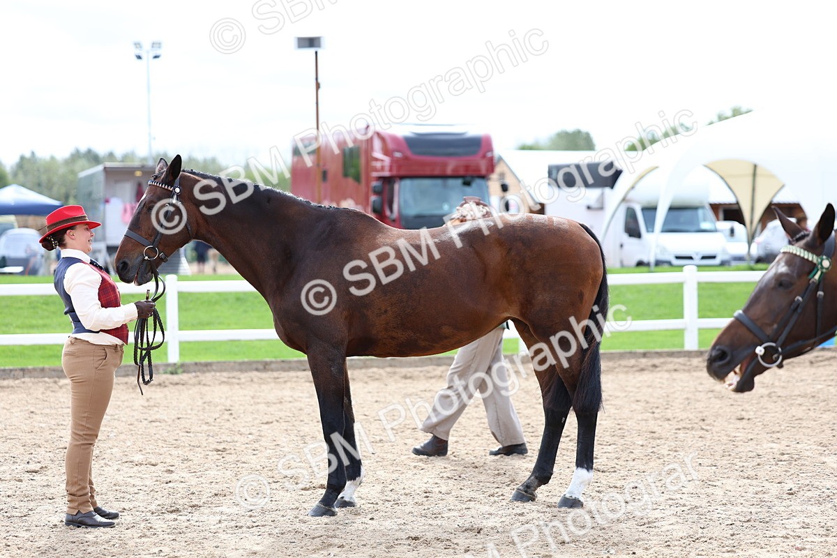 SBM_03938 - Class 25 - IH Foreign Breeds - Pure Bred