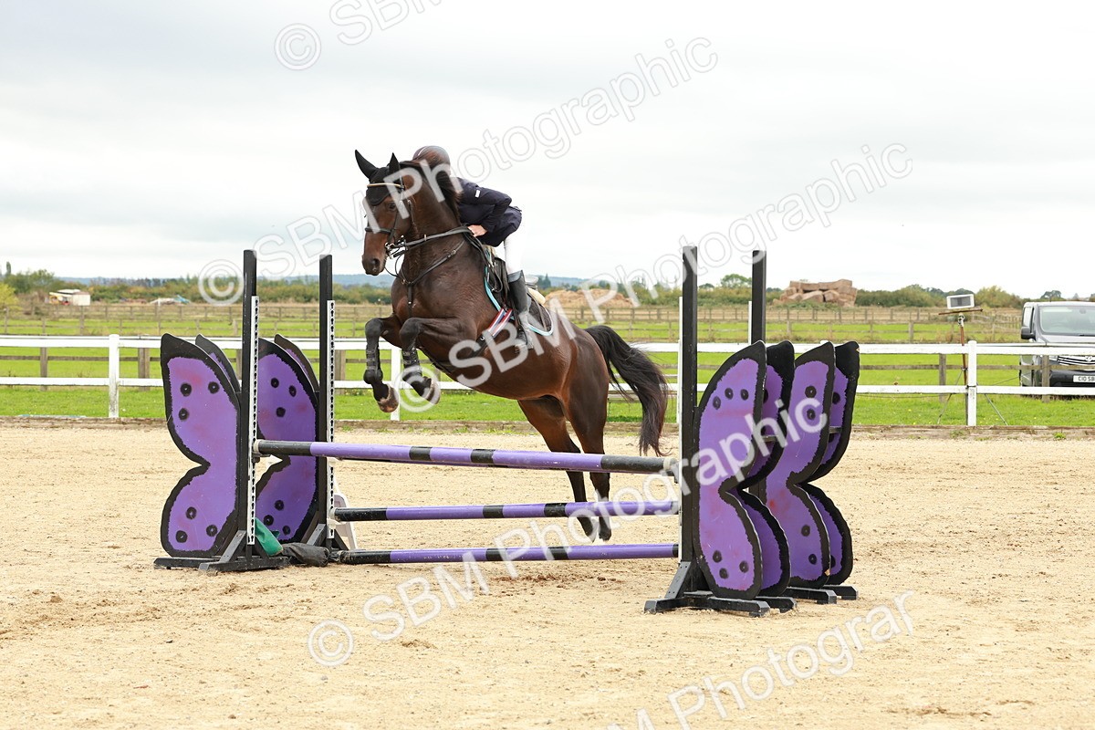 1I0A6933 - Class 2 - Senior British Novice