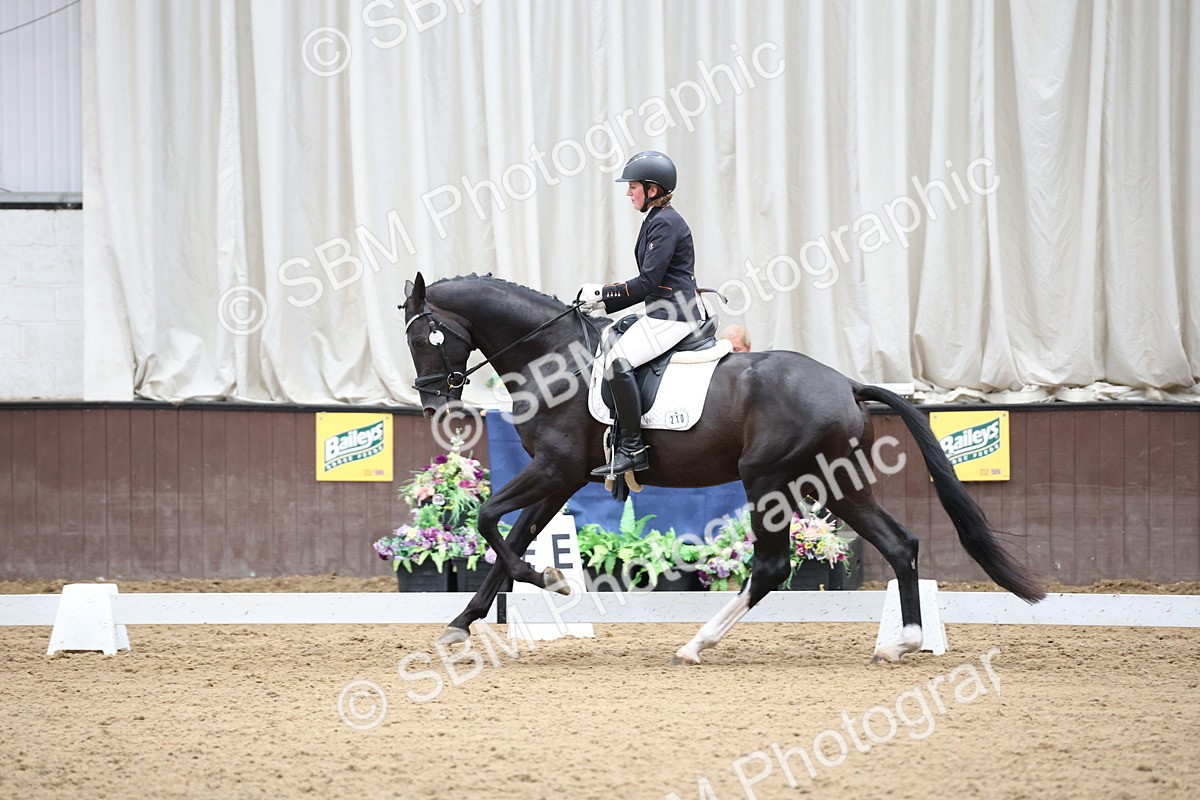 SBM_003520 - Class 5 - Novice 6 Gold - 13.05-14.00