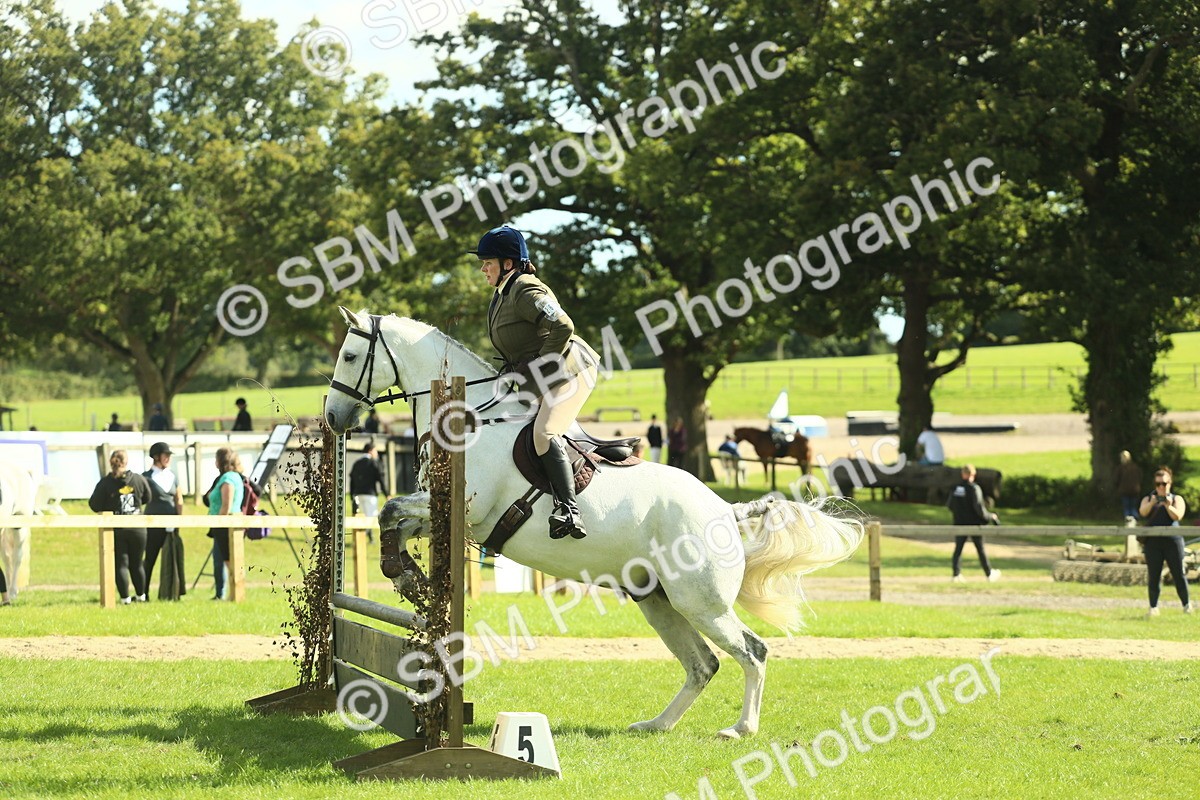 SBM_48056 - S32 - Novice & Newcomers Working Hunter