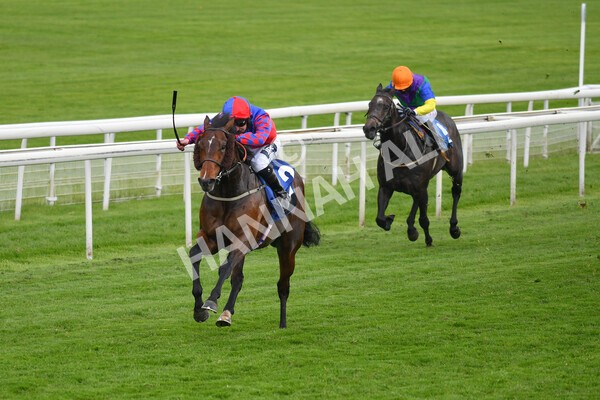 yr14052021r6-11 - Race 6 4.15pm Yorkshire Equine Practice Stakes