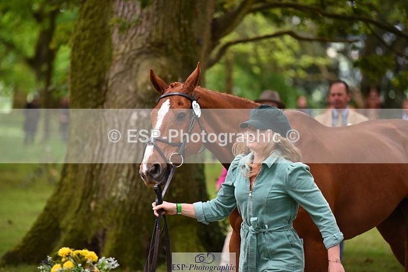 240522-171014-01433 - 251-MILESTONE_GOLD-Gaby_Bull