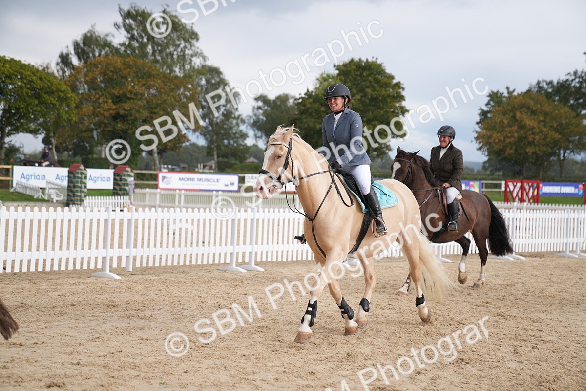 SBM_10423 - J37 Veteran 75cm Championship