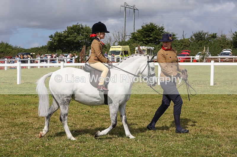 1X9A3658 - Class 29: Lead Rein SP/SHP