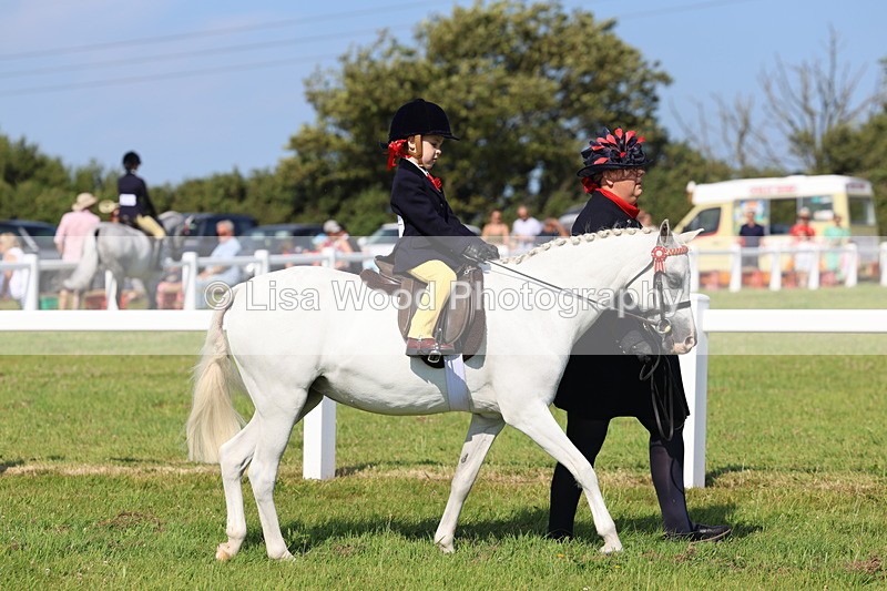 IMG_1705 - Class 31: Lead Rein SP/SHP