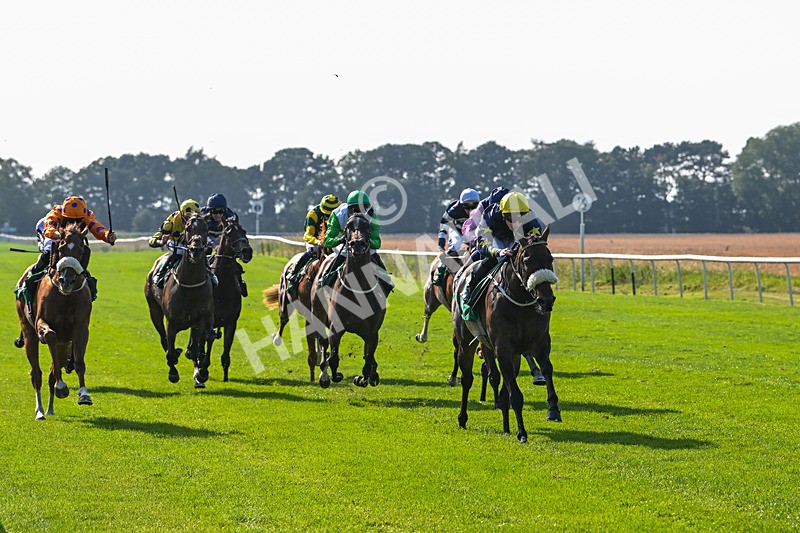 300824-Race 5-Shesashambles-6186 - Race 5