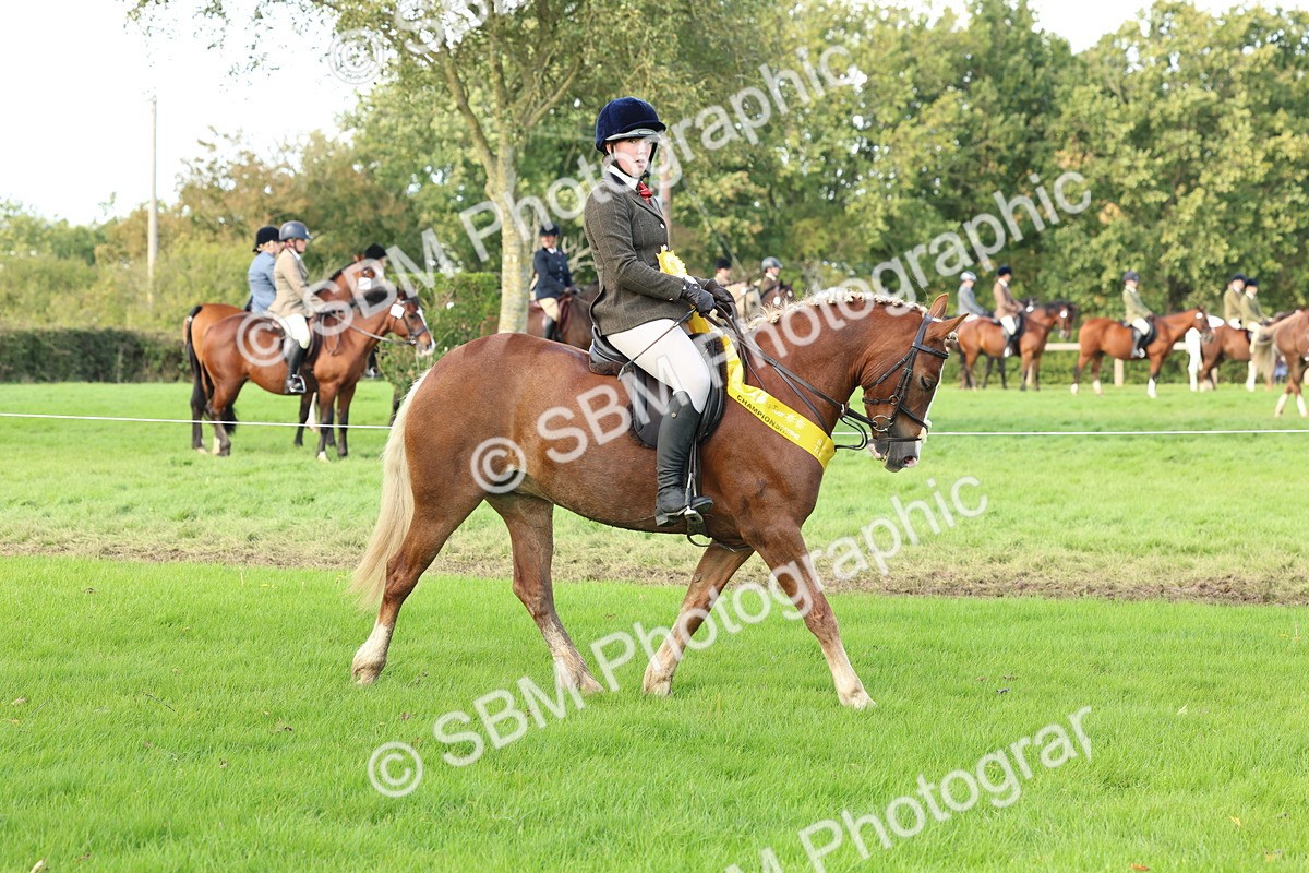 SBM_46362 - Working Hunter Pony Supreme Championship
