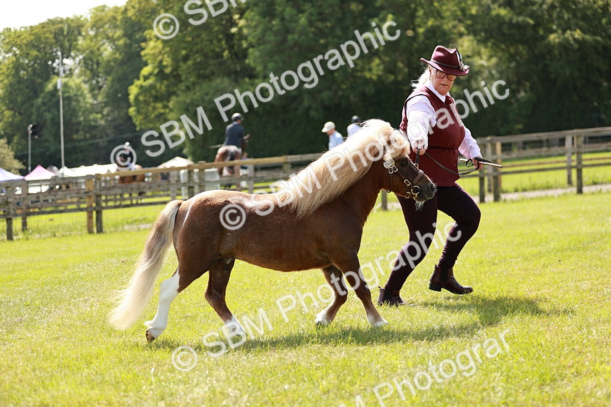 SBM_01960 - Class 14-23 - Mountain & Moorland In Hand Non Welsh