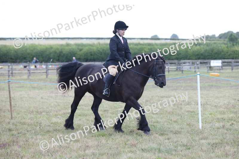 20250831-2387 - Class 16 - Family Pony