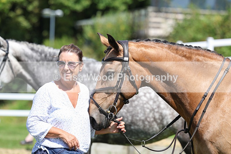 3E7A9046 - Class 6: Open Working Horse