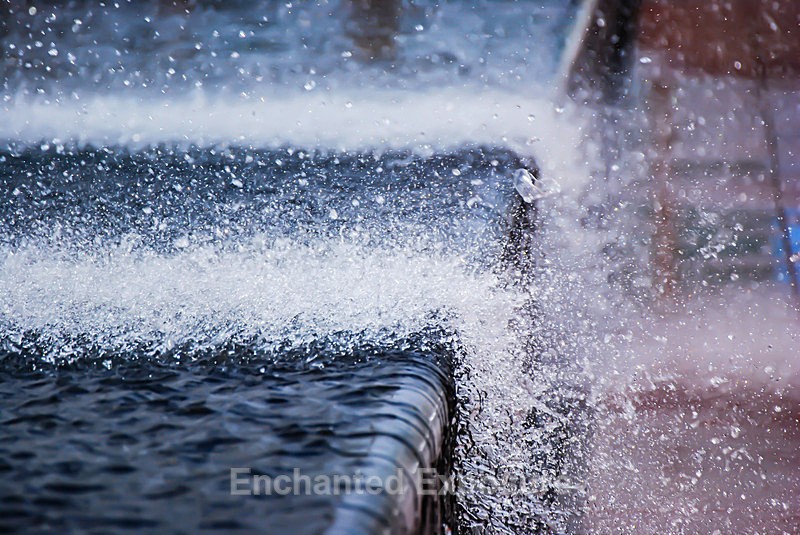 Catch My Heart - Waterscapes