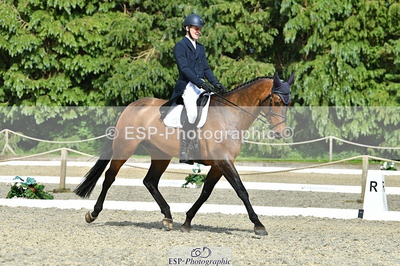 230525-161227-04705 - 432-SCEILIG_CONCORDIO-Rowan_Laird-DR