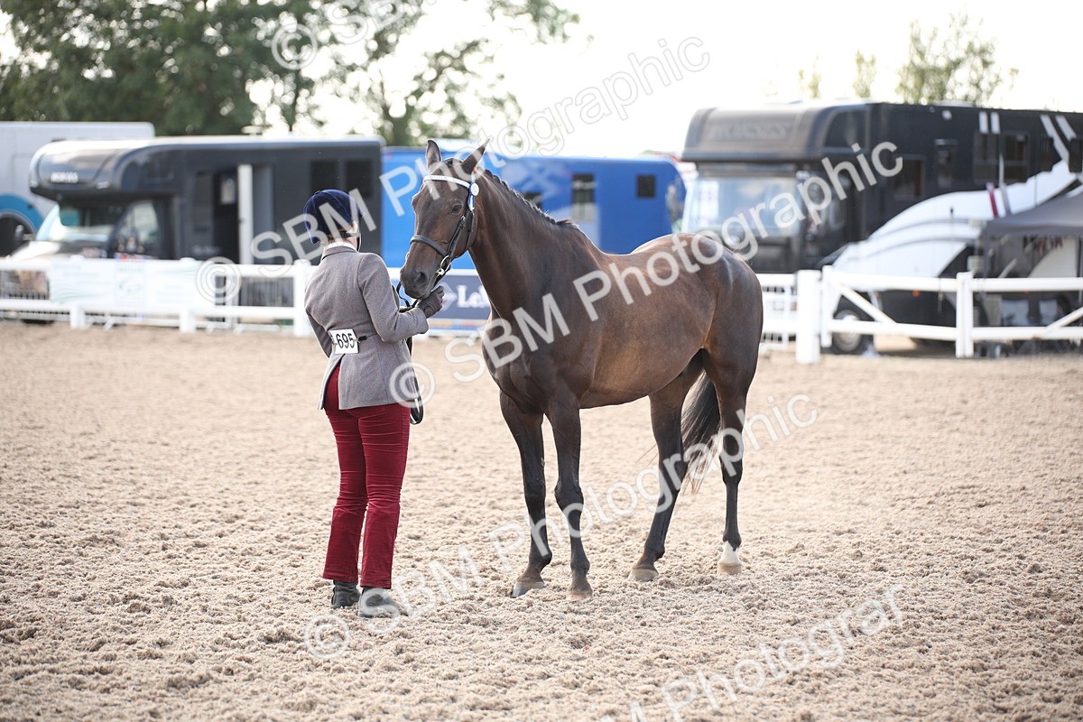 SBM_07105 - Class 25 IH Foreign Breeds- Pure bred