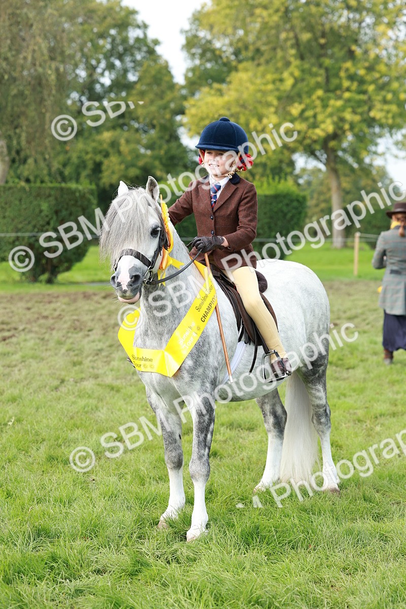 SBM_56454 - S39 - Starters In Hand Showing
