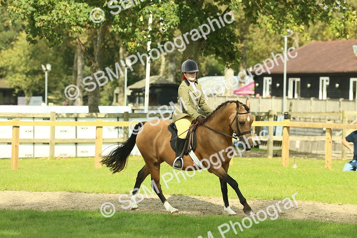 SBM_68867 - S58 - Mini Show Cob Ridden