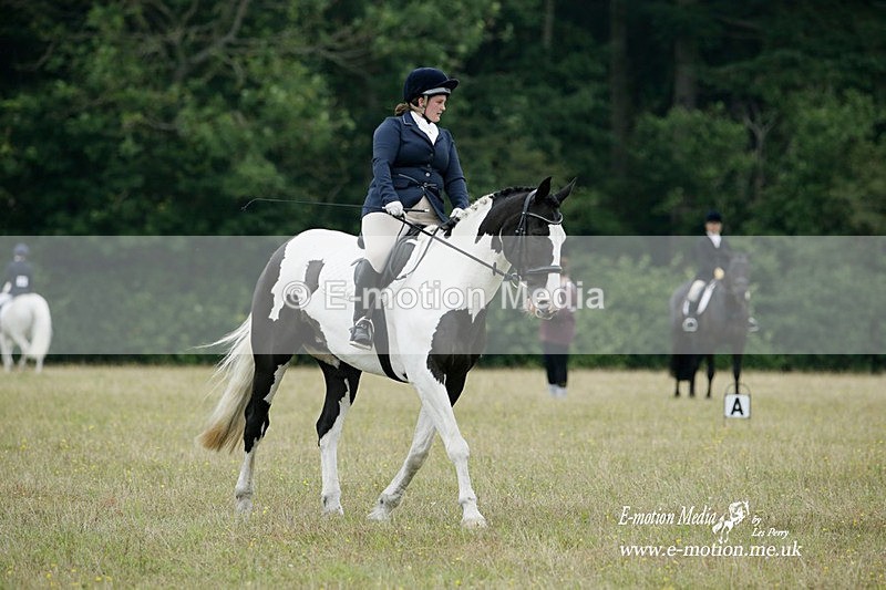 BVRC 030721 506 - Bourne Valley Riding Club Dressage 03/07/21