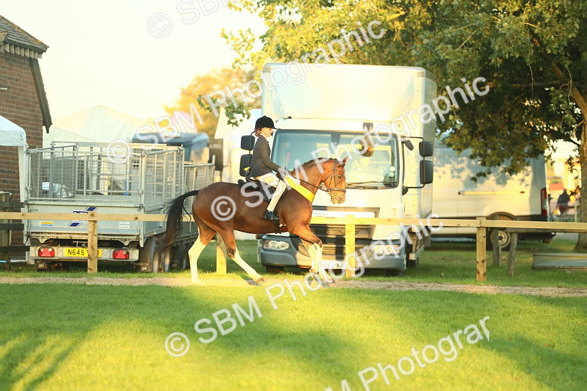 SBM_56613 - Fun & Versatile Supreme Championship