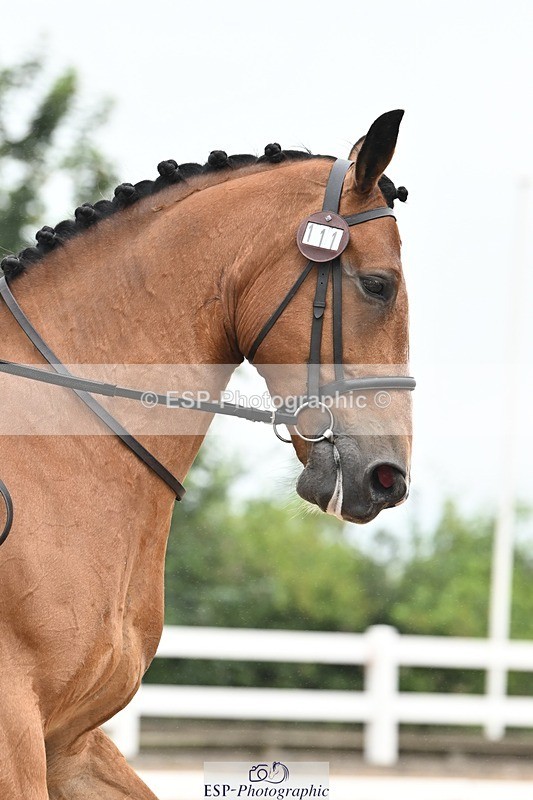 250705-175515-03377 - P3 Sections BDP3SNR, BDP3JNR 12.46 to 13.35