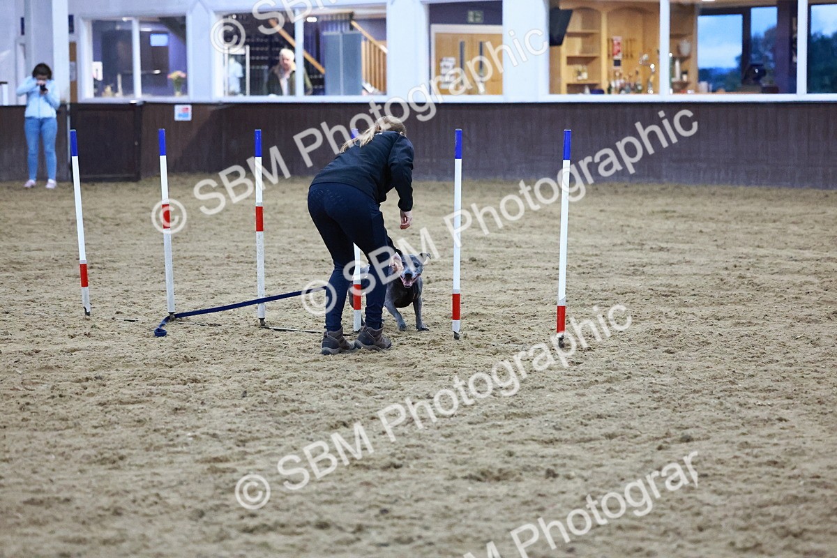 SBM_006004 - Evening Performance