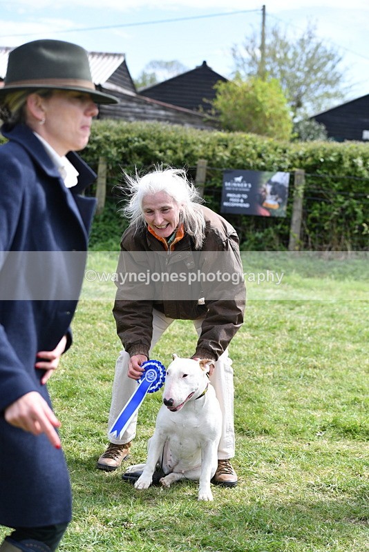 WJ5_0632 - Class 7 Best Terrier