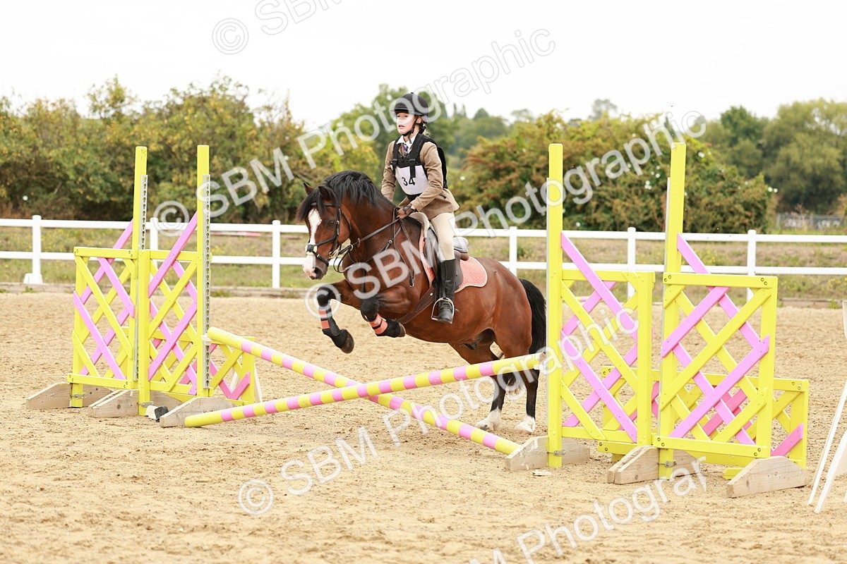 SBM_007292 - Class 2 - 50cm