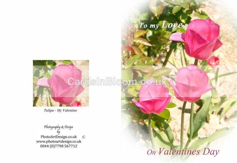 601 -Valentines Day - Valentine