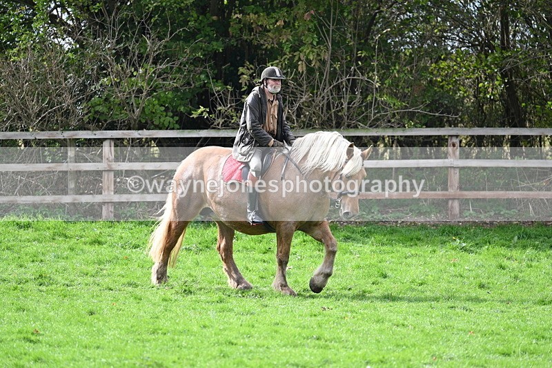 WJ7_9296 - Time 12:55 to 13:13