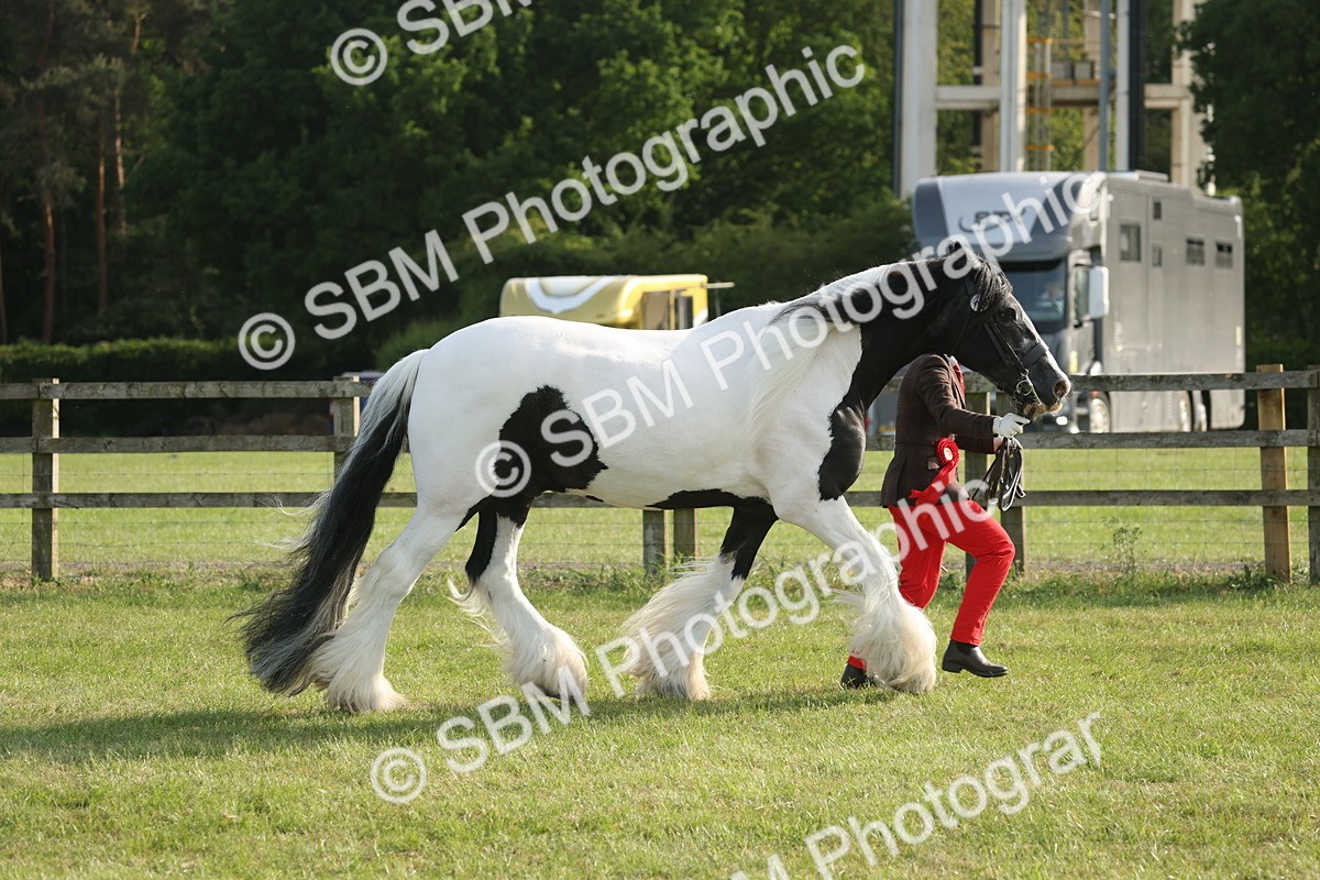 SBM_10572 - Class 33-38 - SSADL RIHS Qualifiers