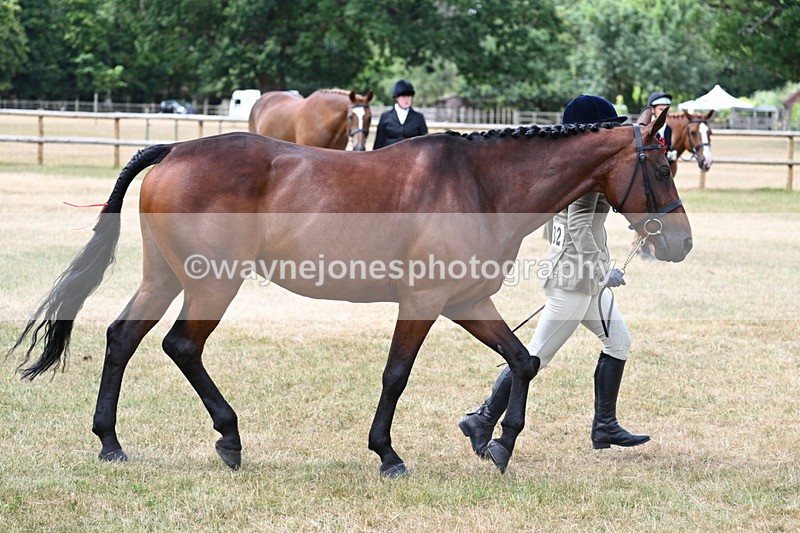 WJ7_1919 - Class 4a Prettiest Mare 14.2hh and over hand