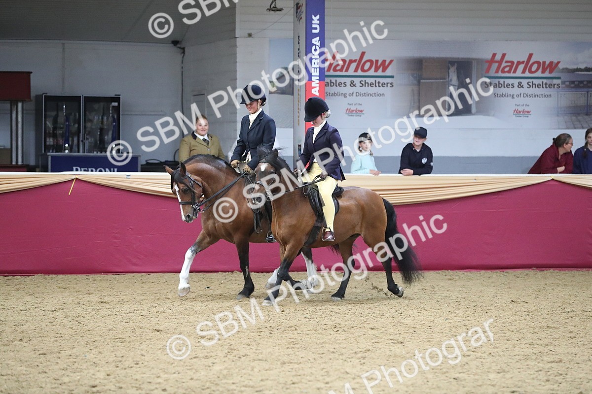 SBM_13696 - Class 109 Ridden Pairs - Section B