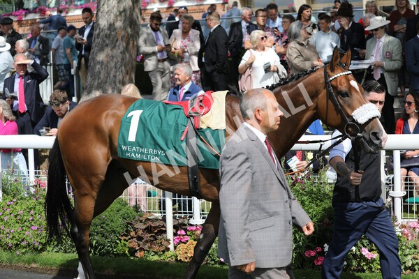 yr19082022r2-3 - Race 2 2.25pm Weatherbys Hamilton Lonsdale Cup (British Champions Series Race)