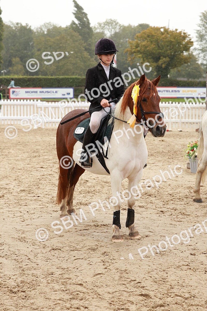 SBM_72318 - J14 - Junior Pony 65cm Championship