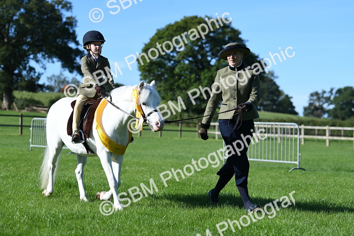 SBM_35506 - S17 - Condition & Turnout - Lead Rein