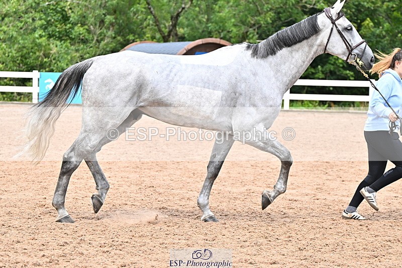 240718A-105323-01925 - Trot Up 2pm to 3pm - This folder is not in time order