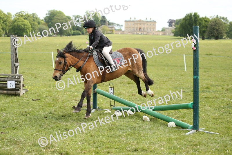 20250517-2939 - Class 25 - Horse & Hound