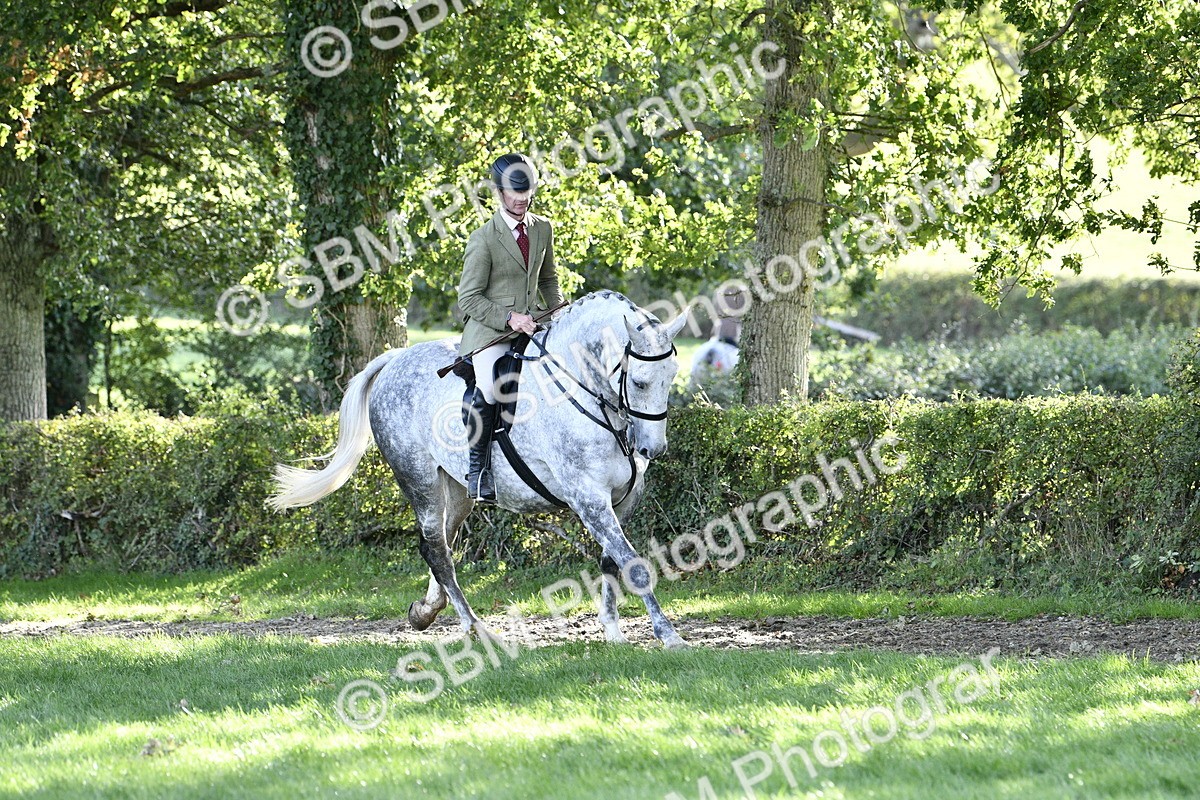 SBM_52222 - S35 - Working Hunter & Working Show Horse