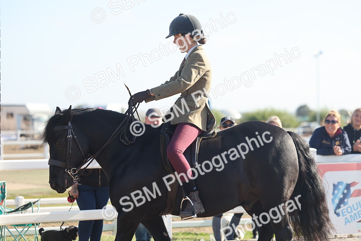 SBM_22179 - Class 802 - Ridden Groom Helpers Class