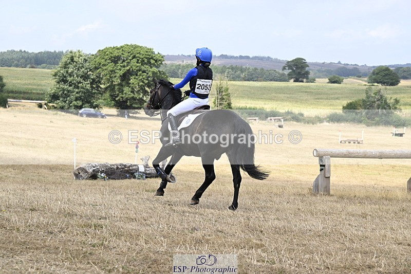 250824A-125825-36584 - 2053-Ava.Sampson-Chameleon